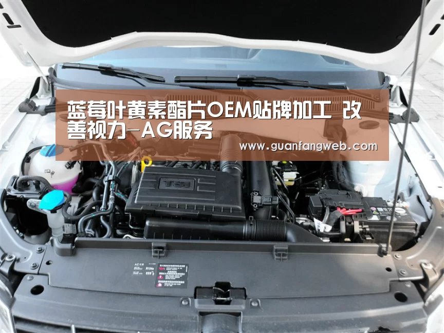 蓝莓叶黄素酯片OEM贴牌加工 改善视力-AG服务(图1) AG百家乐