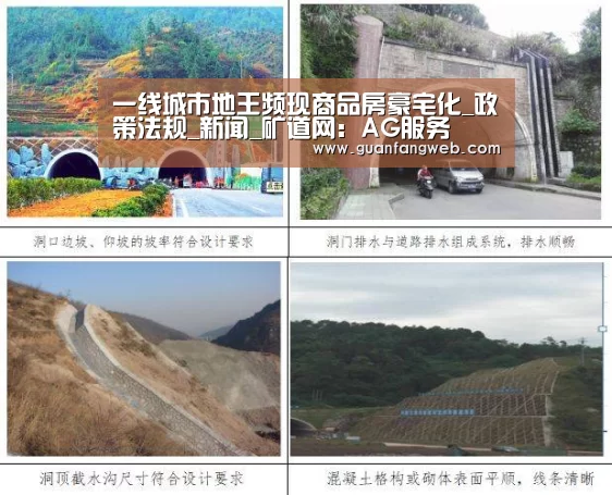 一线城市地王频现商品房豪宅化_政策法规_新闻_矿道网:AG服务(图2) AG官方