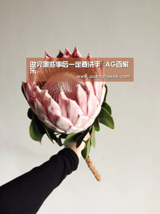 做完哪些事后一定要洗手-AG百家乐(图2) AG视讯
